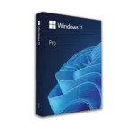 Microsoft Windows 11 Professional OEM